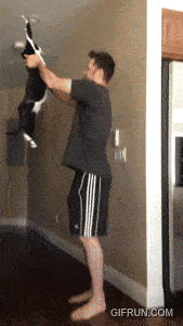 Humano, me dá um abraço