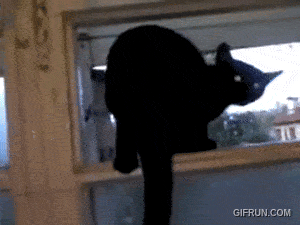 Quando você tá falando de alguém e a pessoa aparece atrás…
